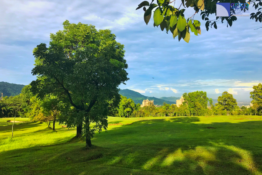 environmental sustainability