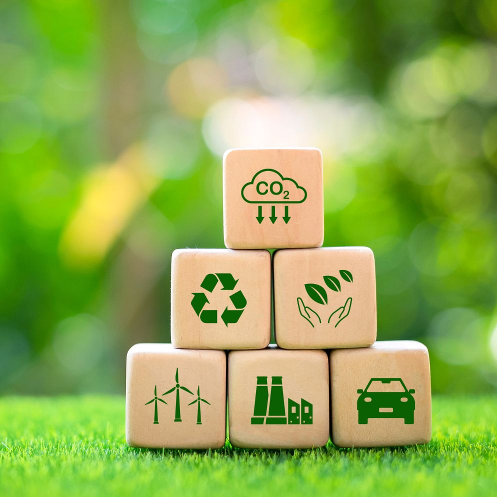 Sustainable Development Goals (SDGs)